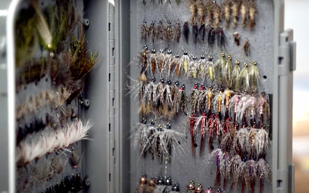 Best Flies To Use When You Don’t Know What the Fish Want